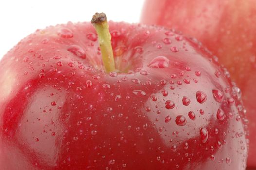 Close-up of a ripe red macintosh apple.