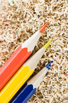 Wooden colored pencils in a shaving