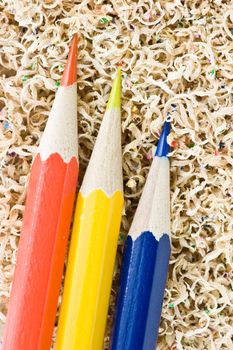 Wooden colored pencils in a shaving