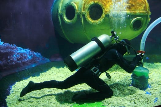 scuba diver cleaning a huge aquarium tank
