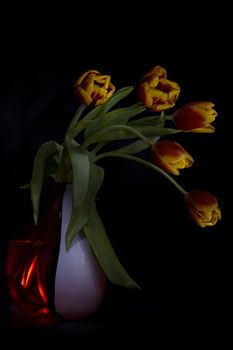 The tulips photographed with use of a light brush