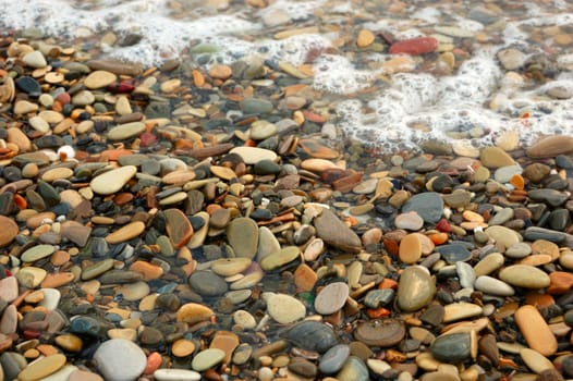 closeup of sea shore covered with pebbles