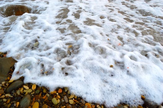 closeup of sea shore covered with pebbles