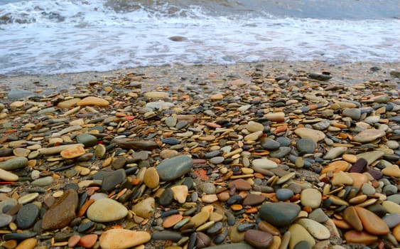 closeup of sea shore covered with pebbles