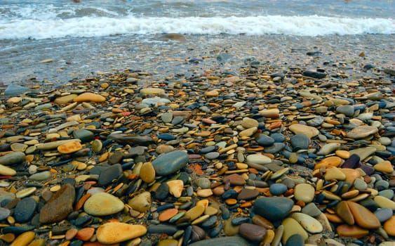 closeup of sea shore covered with pebbles