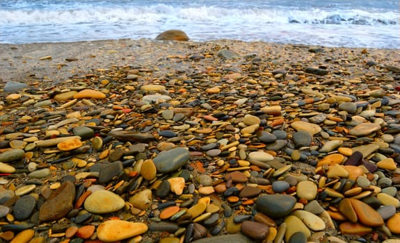 closeup of sea shore covered with pebbles