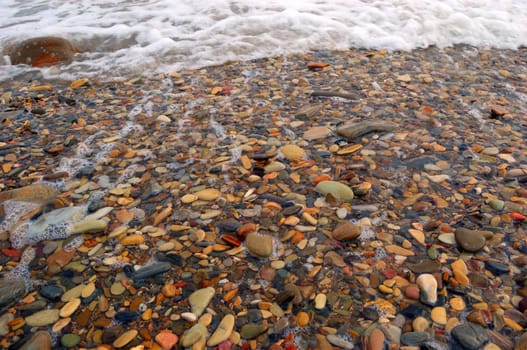 closeup of sea shore with pebbles covered with film of water