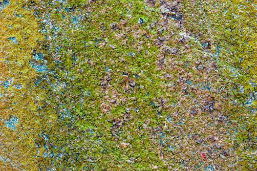 colored (prevaling yellow and blue) rough stone surface with lichen