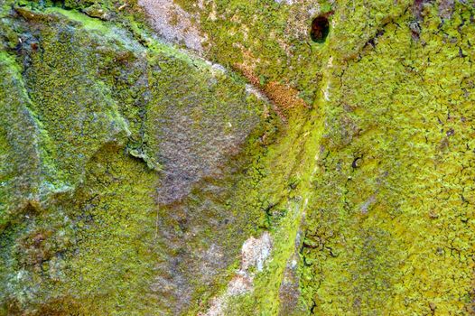 colored (prevaling green) rough stone surface with lichen