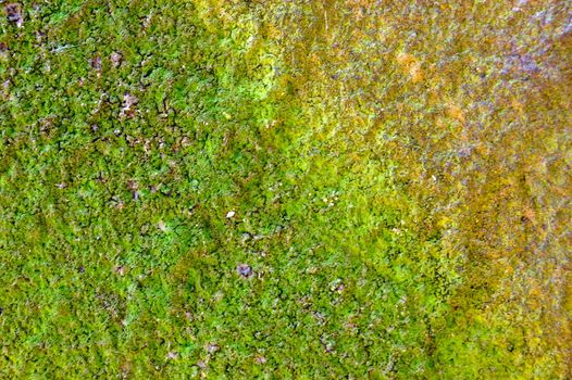 colored (prevaling green and yellow) rough stone surface with lichen