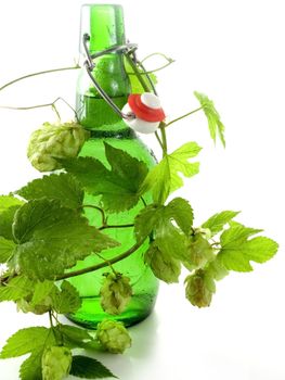 Close-up of Beer bottle isolated on white background