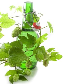 Close-up of Beer bottle isolated on white background