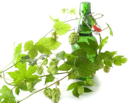 Close-up of Beer bottle isolated on white background