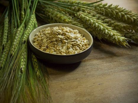 close-up of bowl full of oatmeal