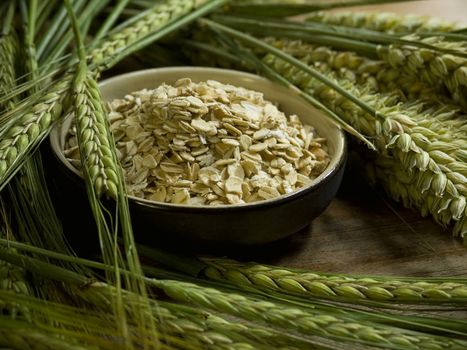 close-up of bowl full of oatmeal