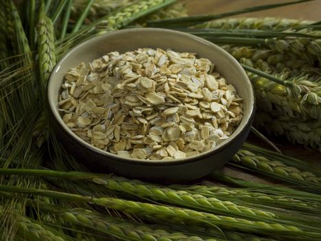 close-up of bowl full of oatmeal