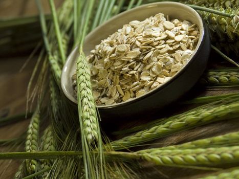 close-up of bowl full of oatmeal