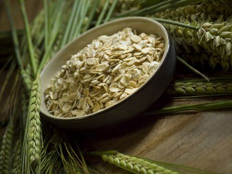 close-up of bowl full of oatmeal