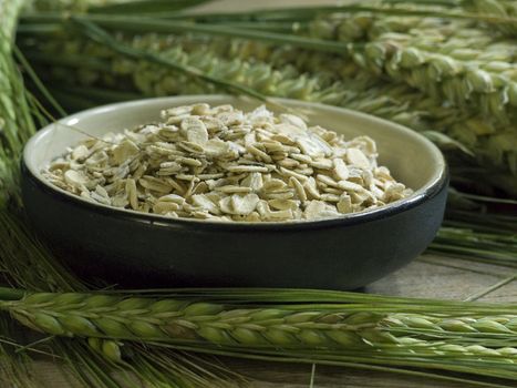 close-up of bowl full of oatmeal