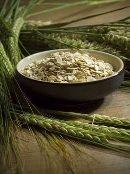 close-up of bowl full of oatmeal