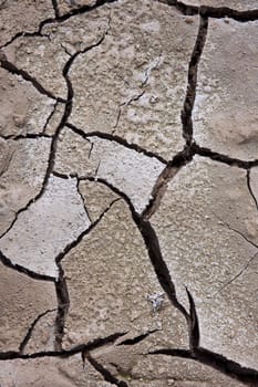 Cracked, parched land. Dried mud.
