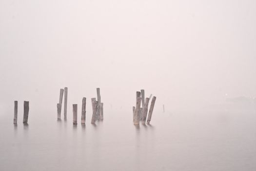 Wood in water in mist