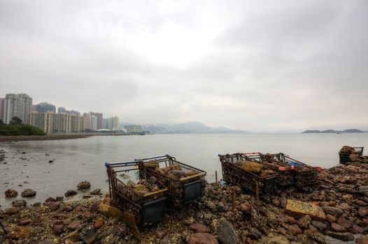 Pollution in seaside
