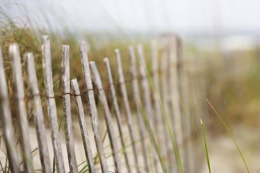 Weathered wooden fence on sand dune.