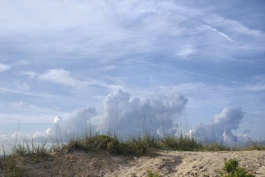 Sand dune with beach grass and cloudy sky.