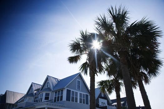 House with palm trees on Bald Head Island, North Carolina.
