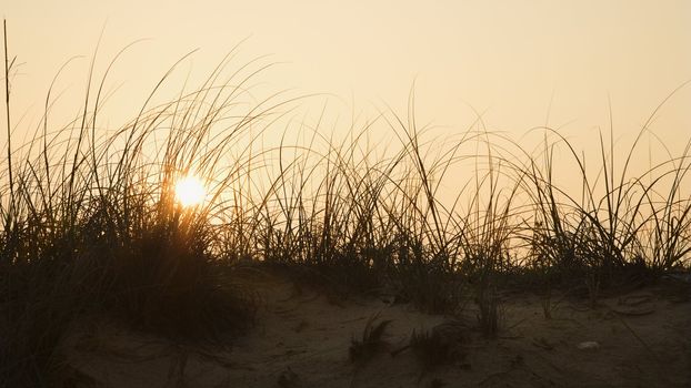 Sunset over beach sand dune on Bald Head Island, North Carolina.
