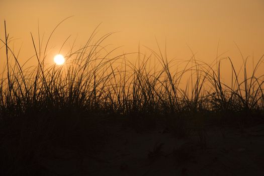 Sunset over beach sand dune on Bald Head Island, North Carolina.