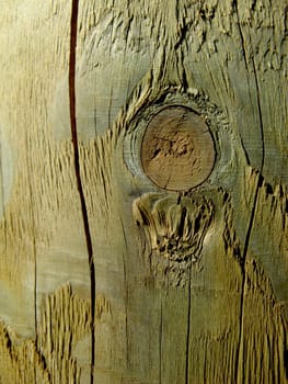 a close-up image of a wood texture
