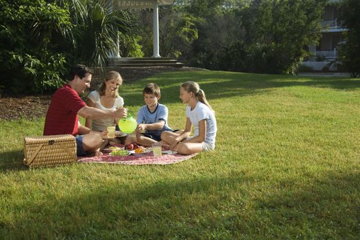 Caucasian family of four having picnic in park.