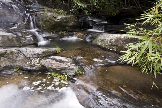 A water spring in forest.