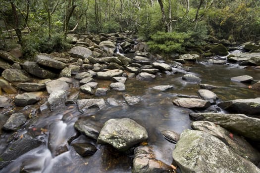 It is a water spring in forest.