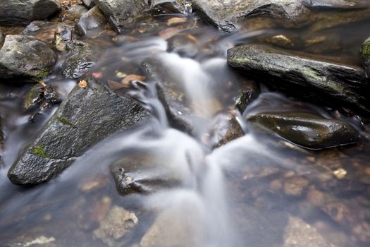 A water spring in forest.