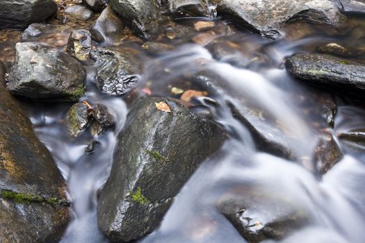 A water spring in forest.