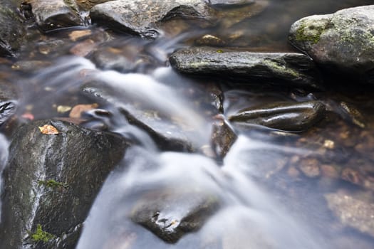 A water spring in forest.