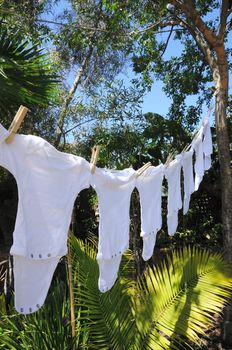 A row of baby onesies hanging from a clothesline by clothespins in a palm garden.