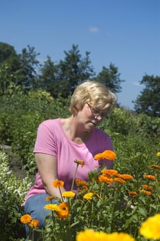 elderly woman is picking flowers in the garden