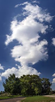 White clouds against a backdrop of blue sky and green trees