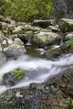 A water spring in forest