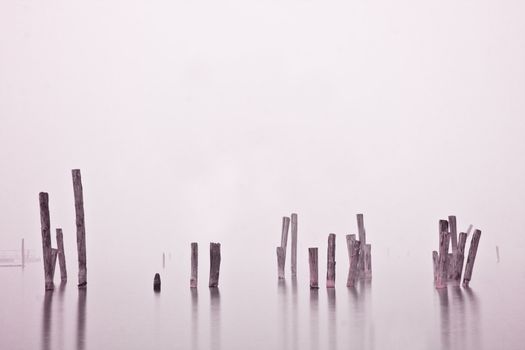 Wood in water in mist
