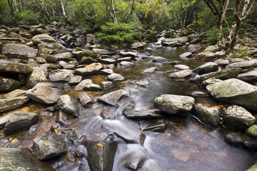 It is a water spring in forest.