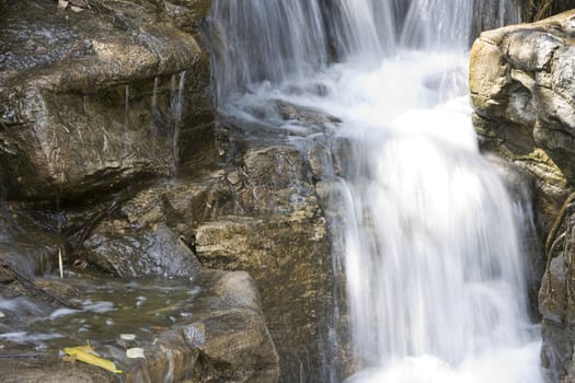 A water spring in forest.