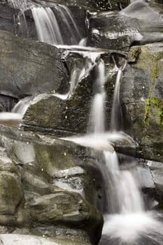 A water spring in forest.