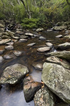 It is a water spring in forest.