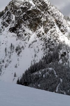 Looking at a snow covered mountain with avalanche areas.