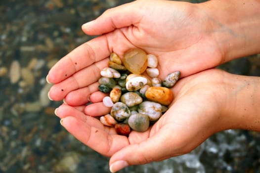 closeup of female hands holding set of colored sea shells